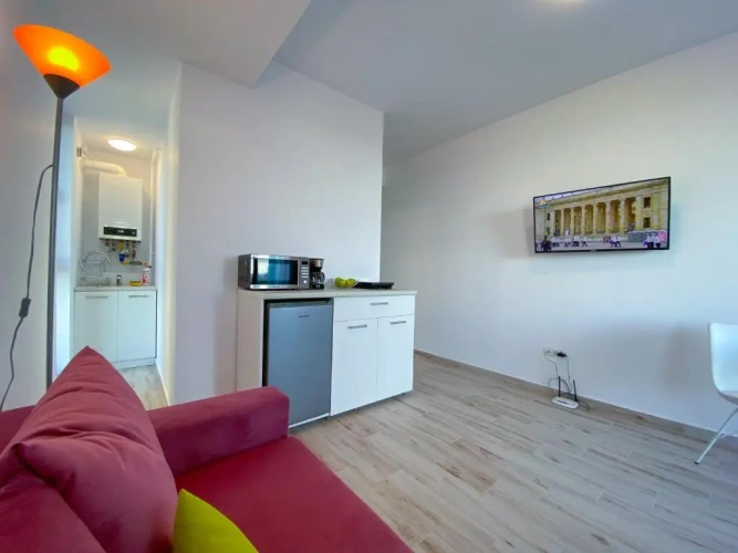 1 Bedroom Apartment