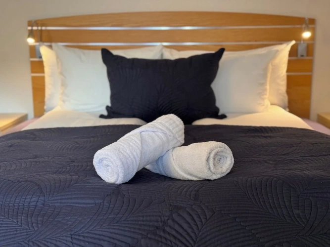 Standard Double room with balcony and with sea view