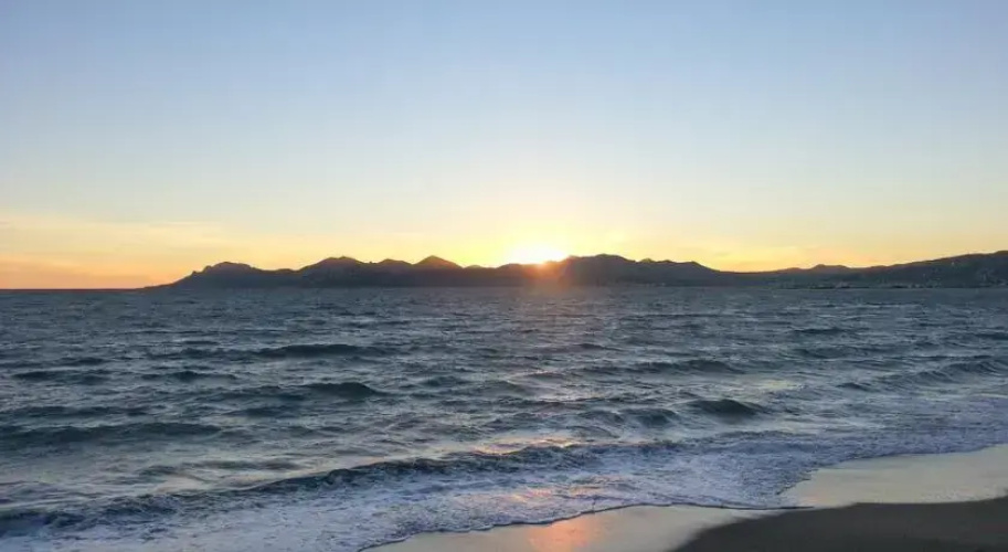 Cannes Sun