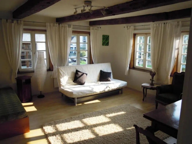 1 Bedroom Basement Apartment with view