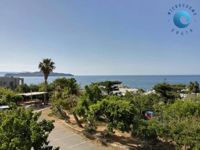 Standard Double room with sea view
