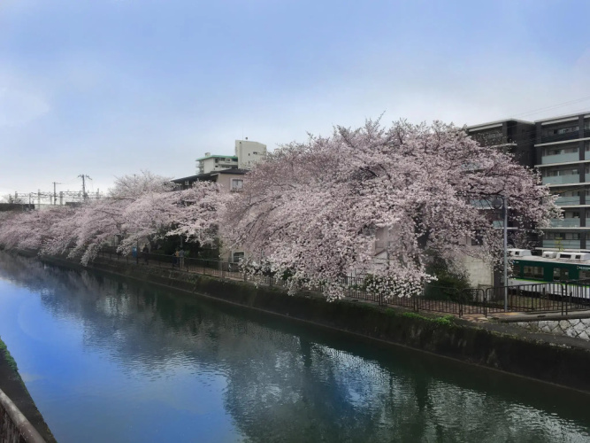 Kyoto Happy Family(福家旅館)