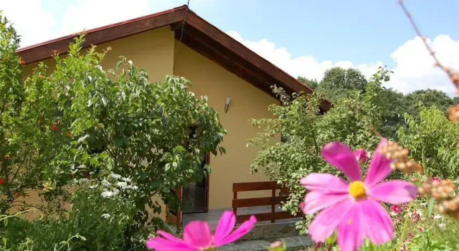 Casa Verde Villa