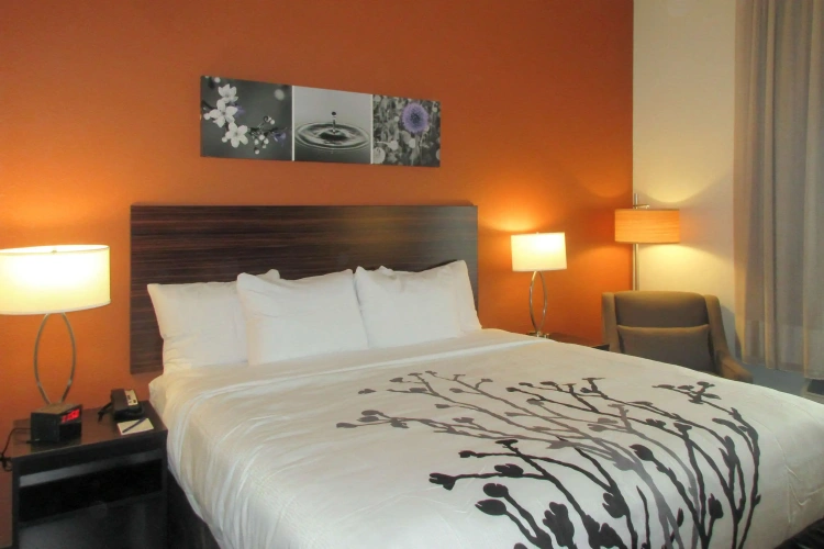 Standard Double room