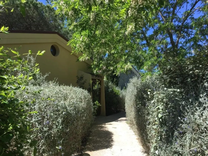 Deluxe Bungalow