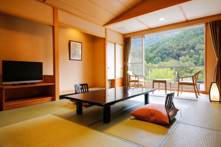 Standard Twin room with view