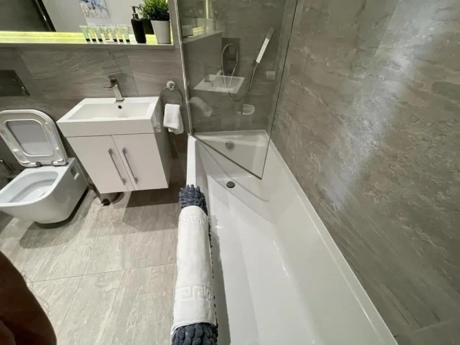 1 Bedroom Apartment