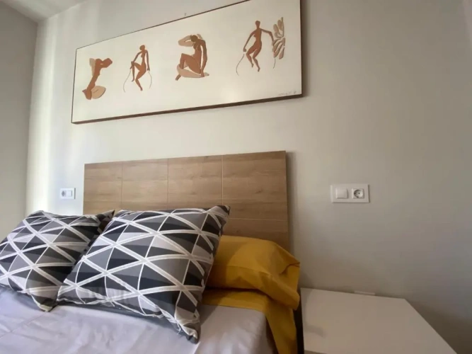 1 Bedroom Apartment