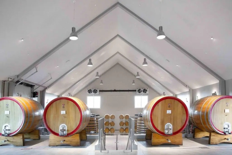 Ponte Vineyard Inn photo 22