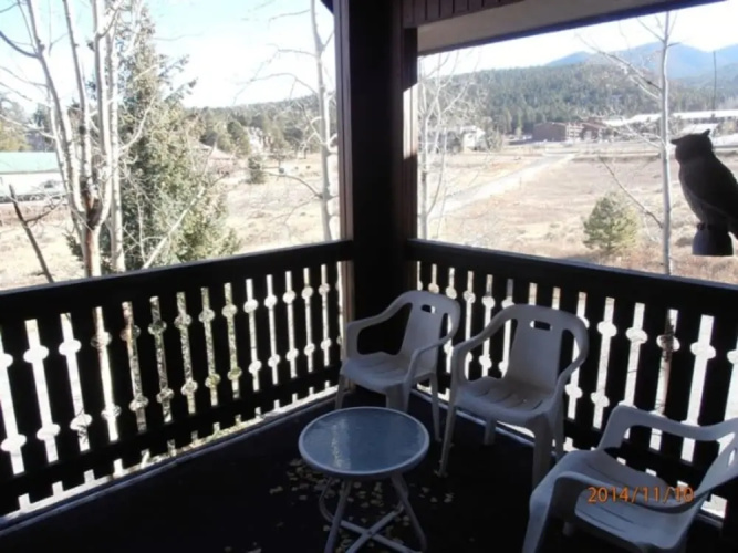 Snowfire Condominium B