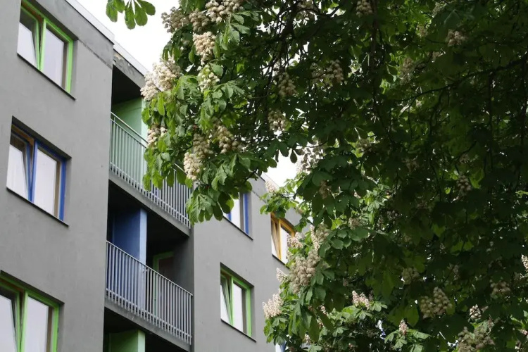 Otel görseli