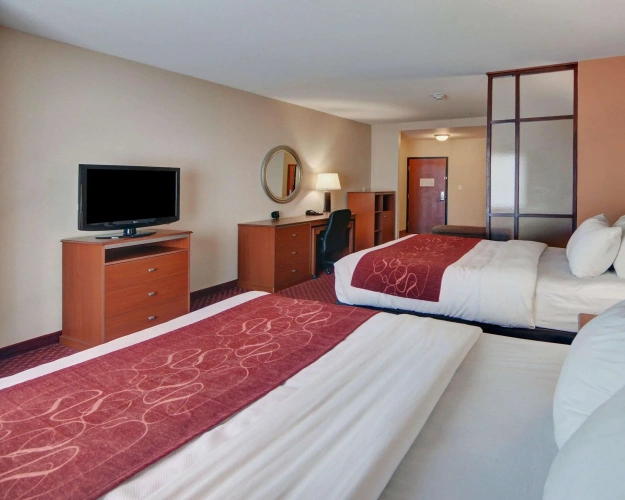 Quadruple Suite