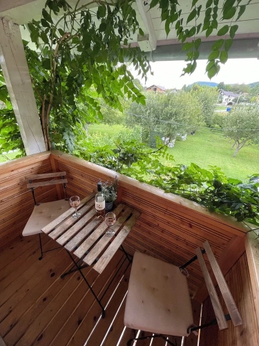 Superior Double room with balcony and with garden view