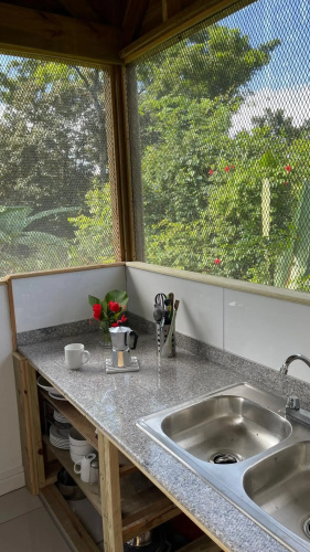Eden Jungle Lodge