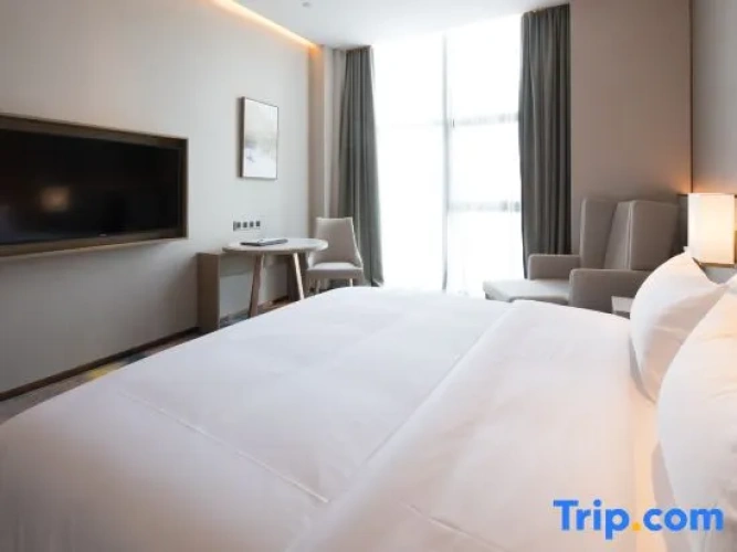 Executive Double Suite