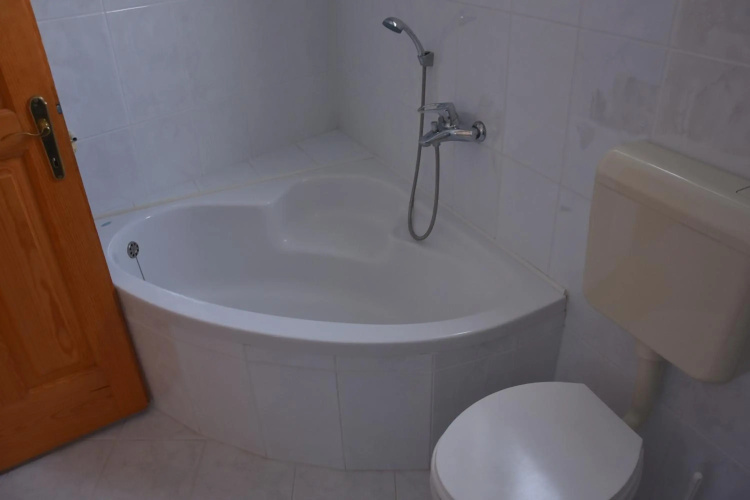 Apartment and Studio Damjan