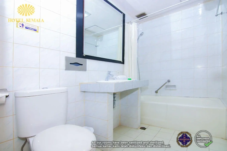 1 Bedroom Double Suite with city view