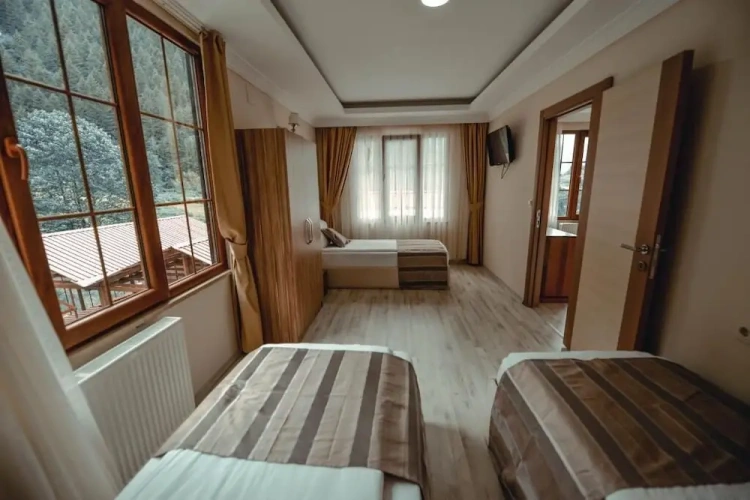 1 Bedroom Suite