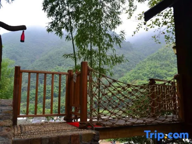Tree House Guesthouse