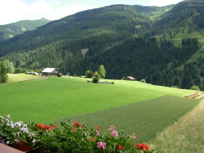 Standard Double room with balcony and with mountain view