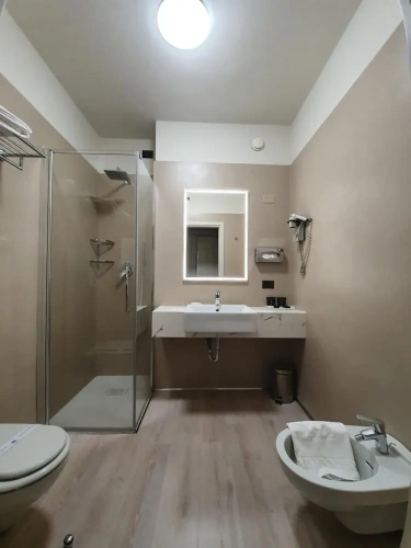 Business Double room with balcony