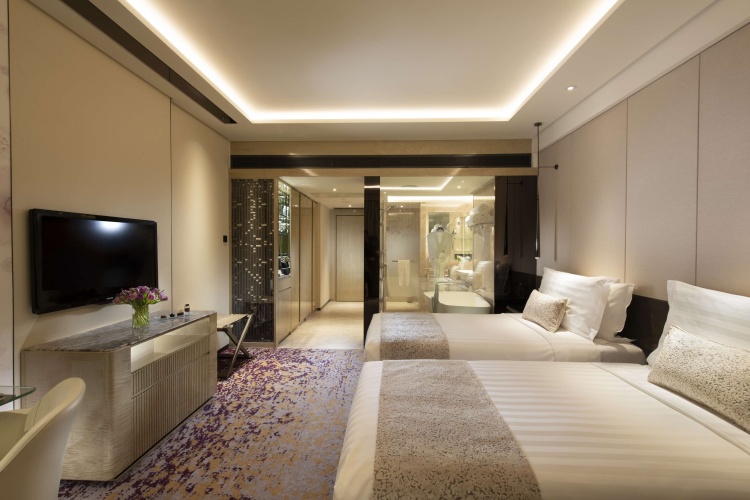 Executive Twin room with city view