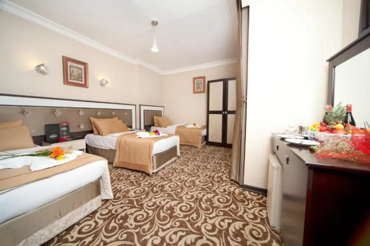 Standard Triple room