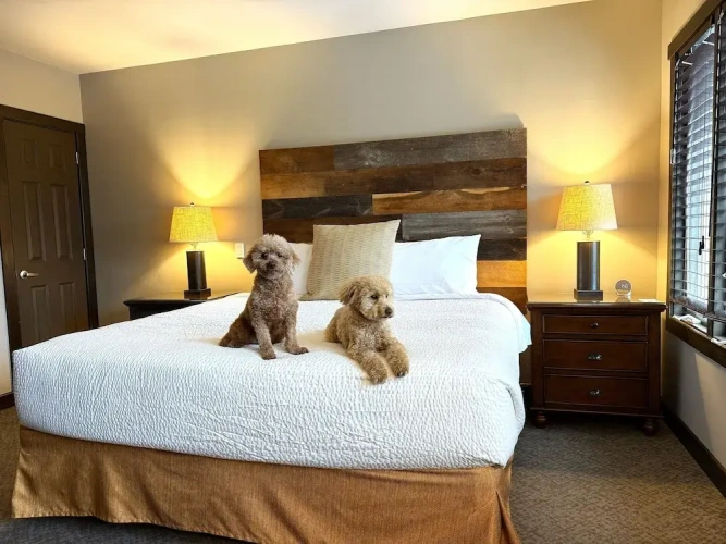 Double Suite with sunrise view