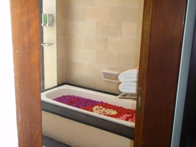 1 Bedroom Villa