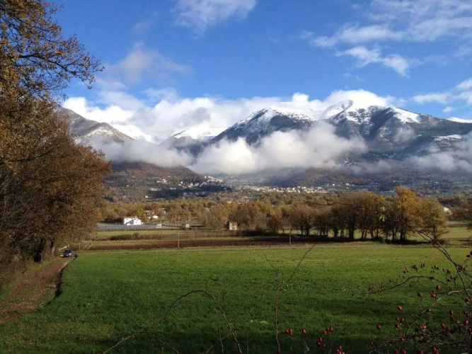 Tenuta Castelli