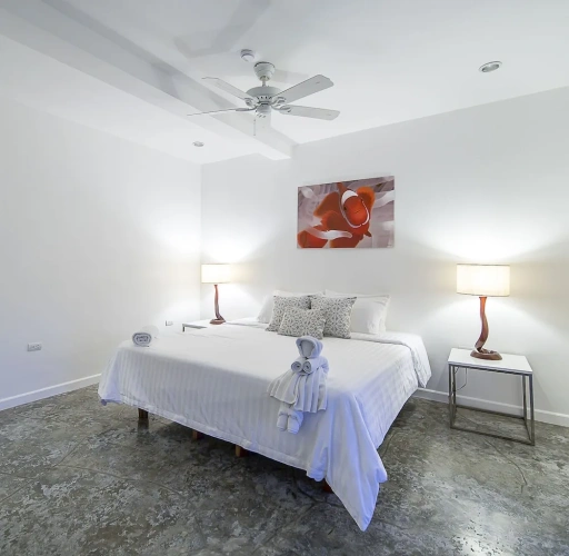 Deluxe Twin Penthouse room