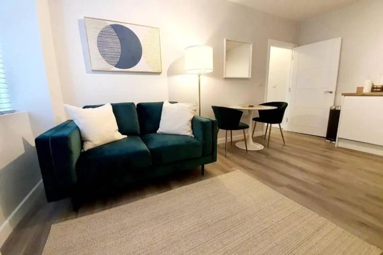 1 Bedroom Apartment
