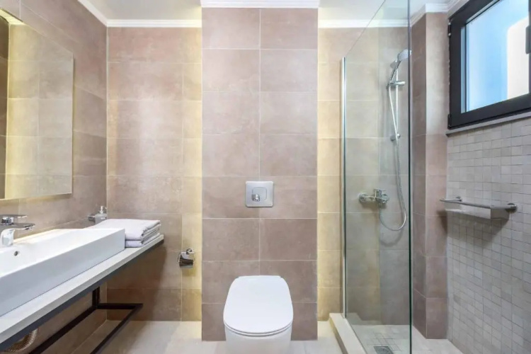 Lambis Athina