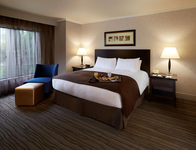 Double Suite with balcony and with mountain view