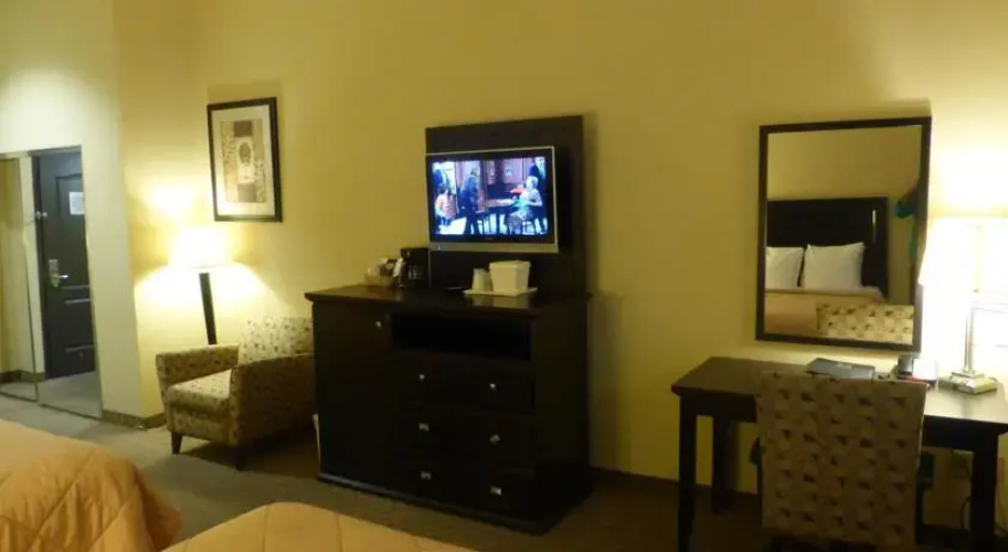 Comfort Inn & Suites Downtown