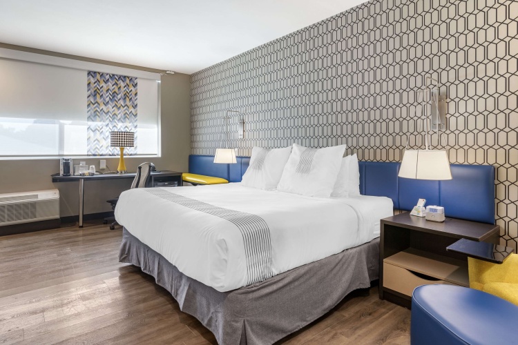 Standard Double room