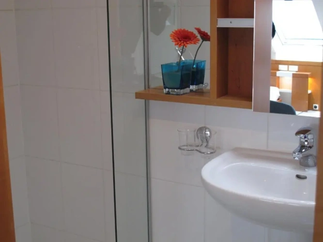 Standard Double room with balcony and with lake view