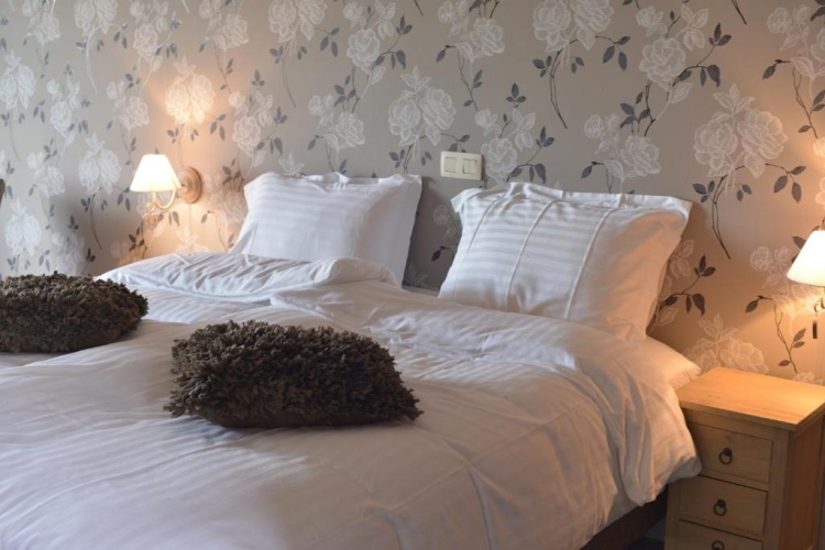 Standard Double room with view