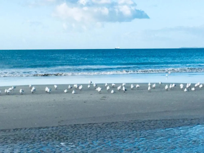 Absolute Beach