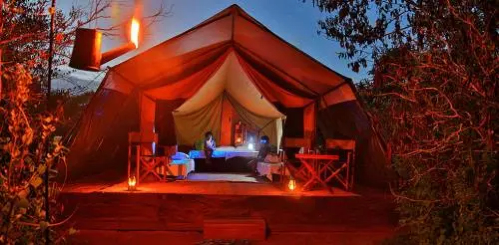 Yala Leopard Mobile Camp