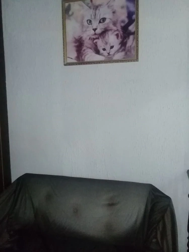 Bed in Dorm (male dorm)