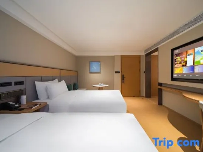 Standard Twin room with city view