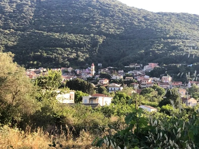 Standard Villa