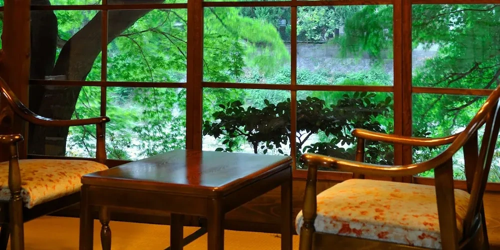 Standard Twin room with river view