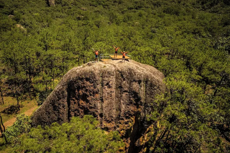 Roca Venados