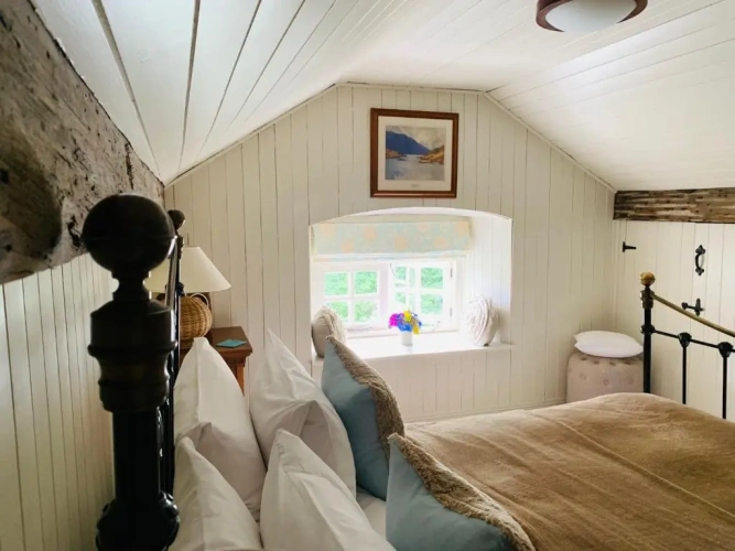 Standard Family room with view