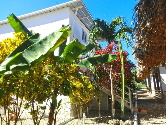 Sosua Adventure  Wellness
