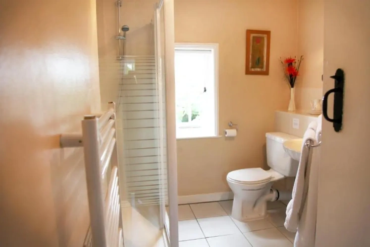 Standard Twin room with park view