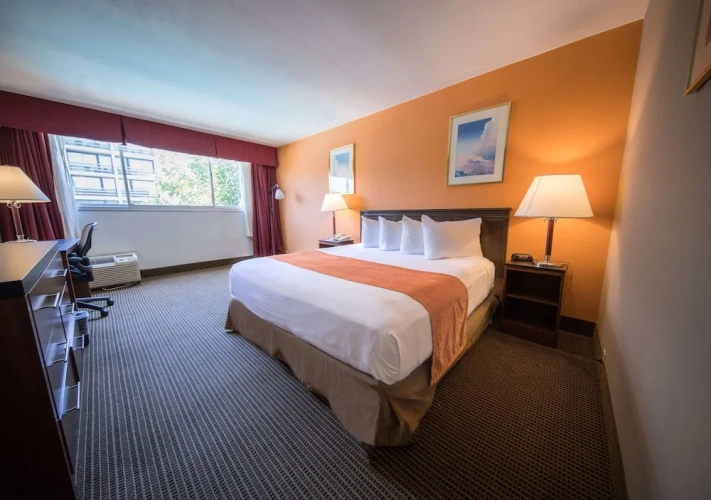 Double Studio Suite