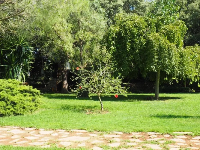Suite with garden view
